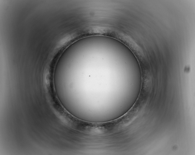 X0000103230683200808281431