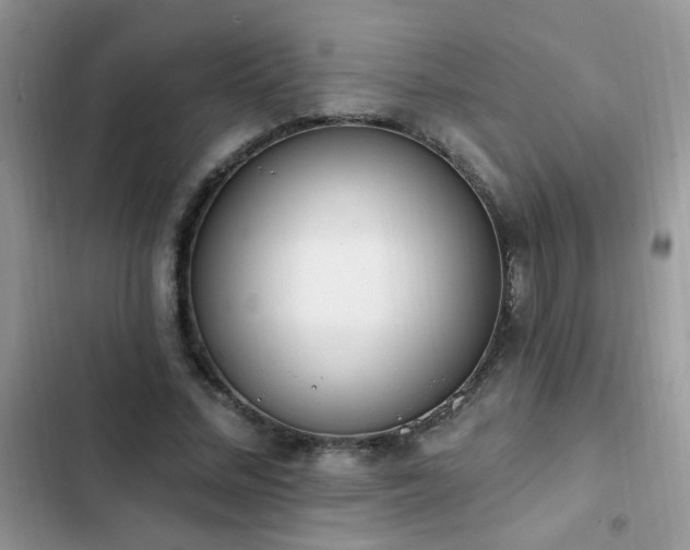 X0000103230684200808281431