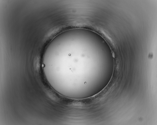 X0000103230685200808281431
