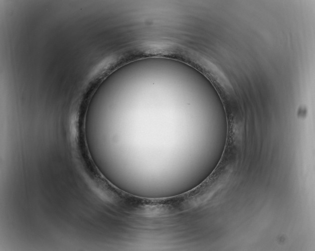 X0000103230686200808281431