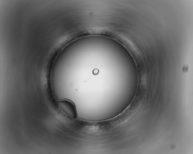 X0000103230687200808281431
