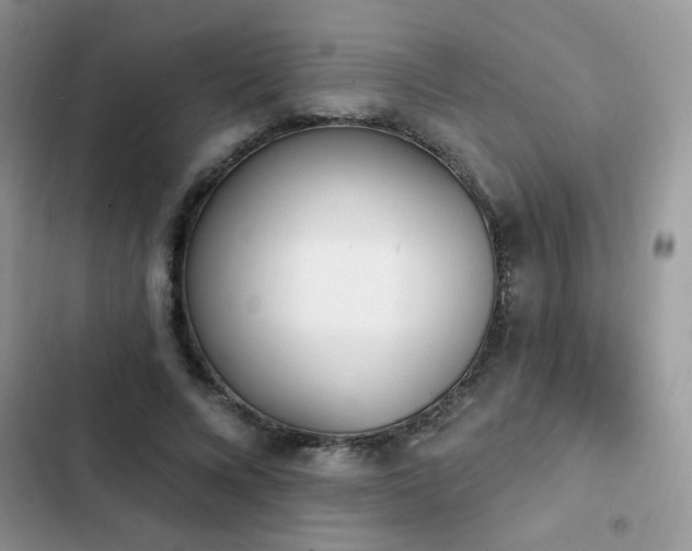 X0000103230688200808281431