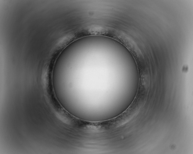 X0000103230690200808281431