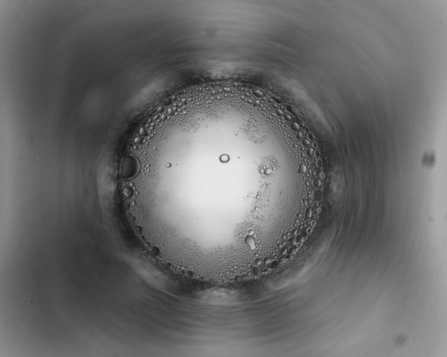 X0000103230691200808281431