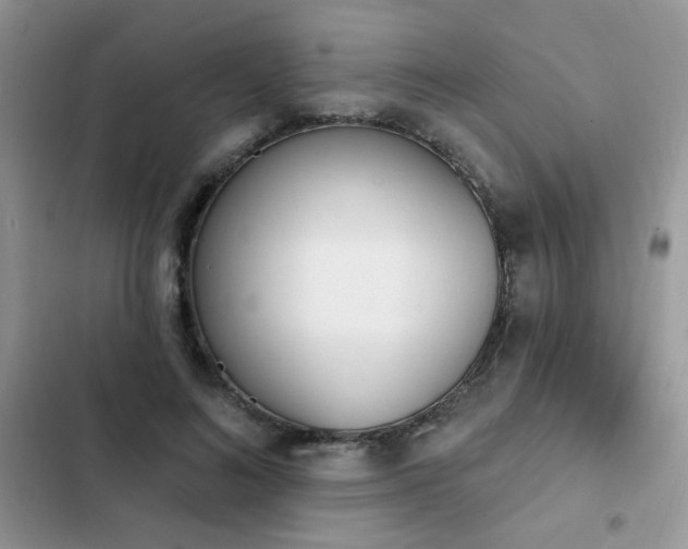 X0000103230692200808281431