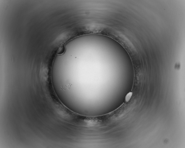 X0000103230693200808281431