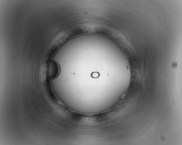 X0000103230694200808281431