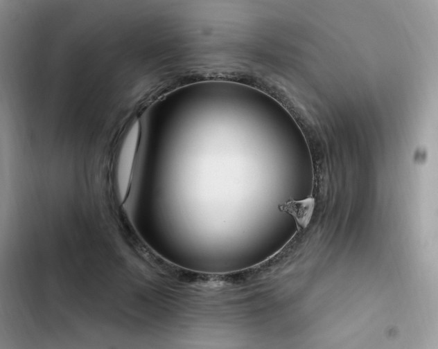 X0000103230695200808281431