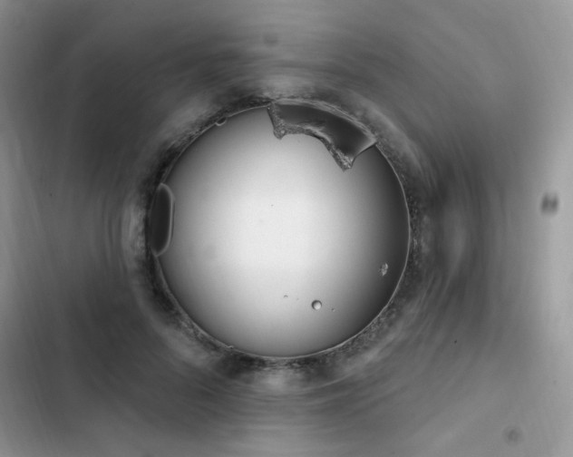 X0000103230696200808281431