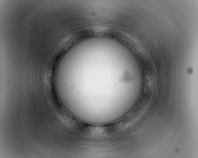 X0000103230698200808281431