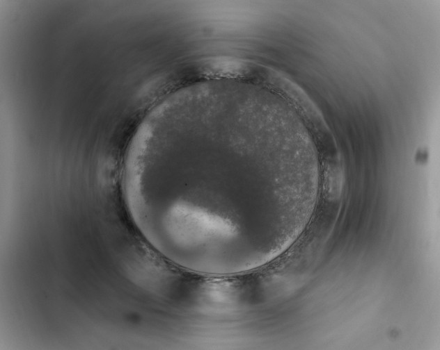 X0000103230701200808281431