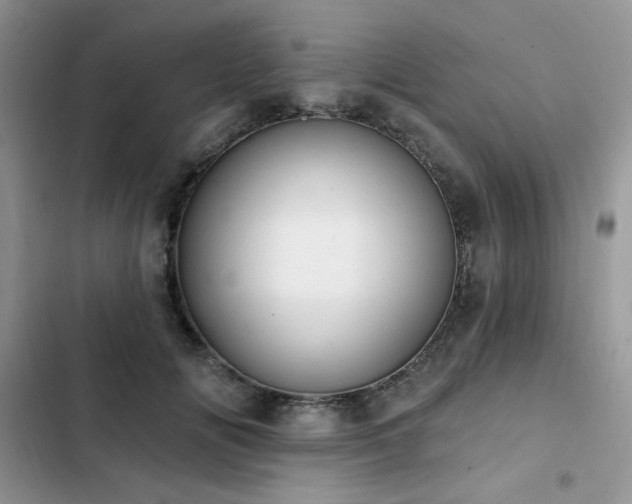X0000103230702200808281431