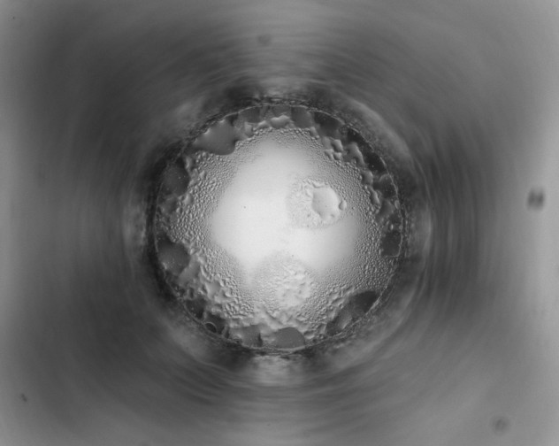 X0000103230703200808281431