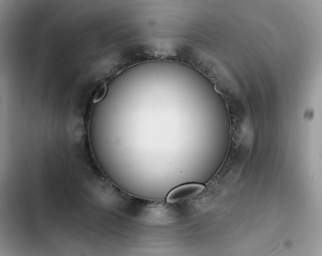 X0000103230704200808281431