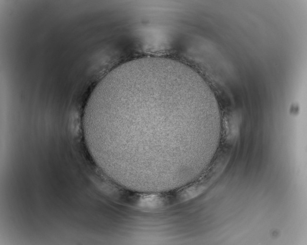 X0000103230705200808281431