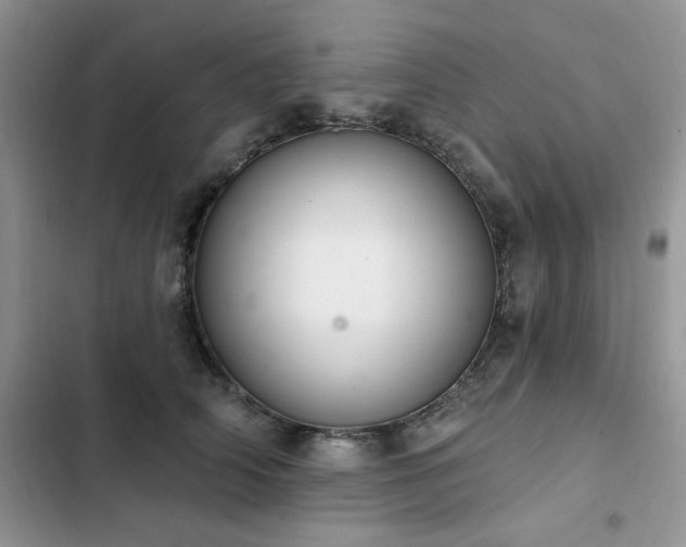X0000103230706200808281431