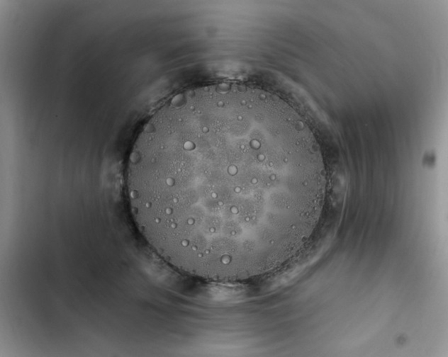 X0000103230707200808281431