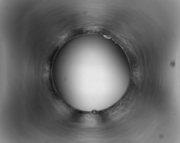 X0000103230708200808281431