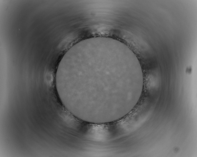 X0000103230709200808281431