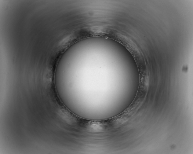 X0000103230710200808281431