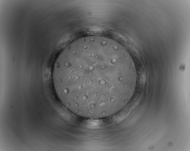 X0000103230711200808281431