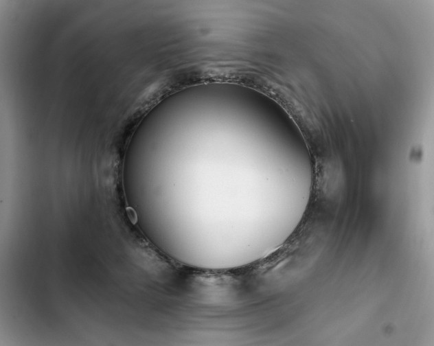 X0000103230712200808281431