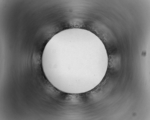 X0000103230713200808281431