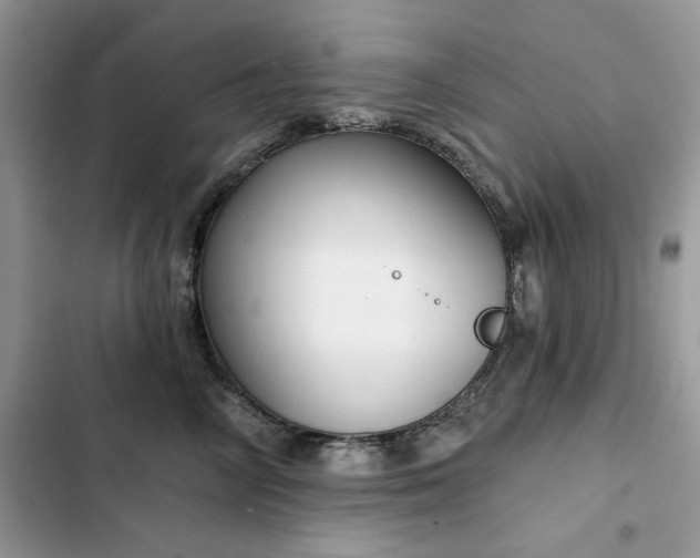 X0000103230714200808281431