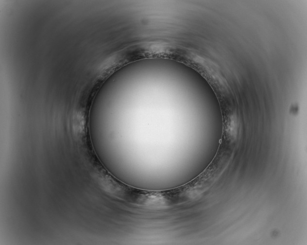 X0000103230715200808281431