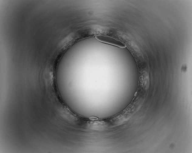 X0000103230716200808281431