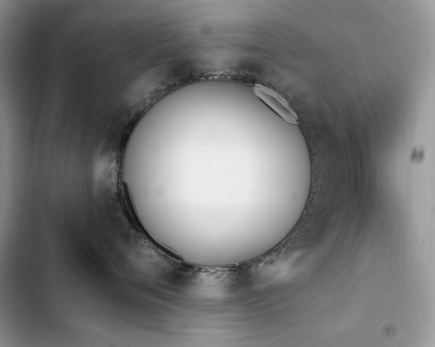 X0000103230720200808281430