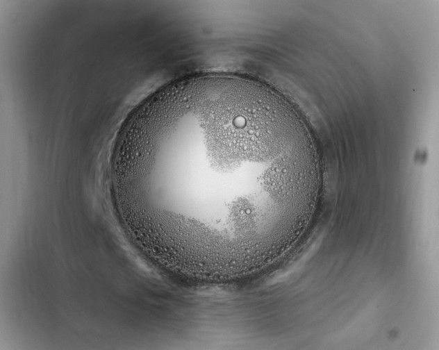 X0000103230721200808281430