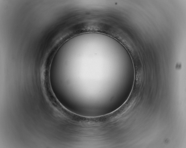 X0000103230722200808281430