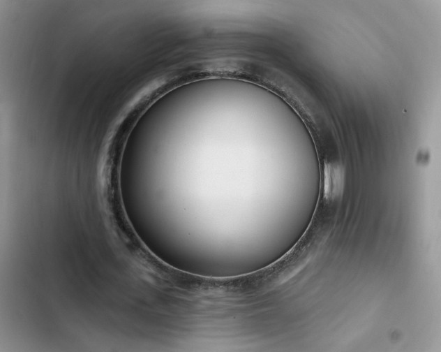 X0000103230723200808281430