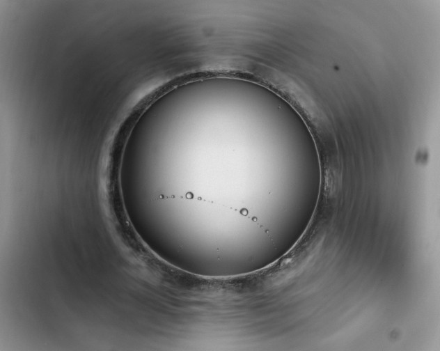 X0000103230724200808281430
