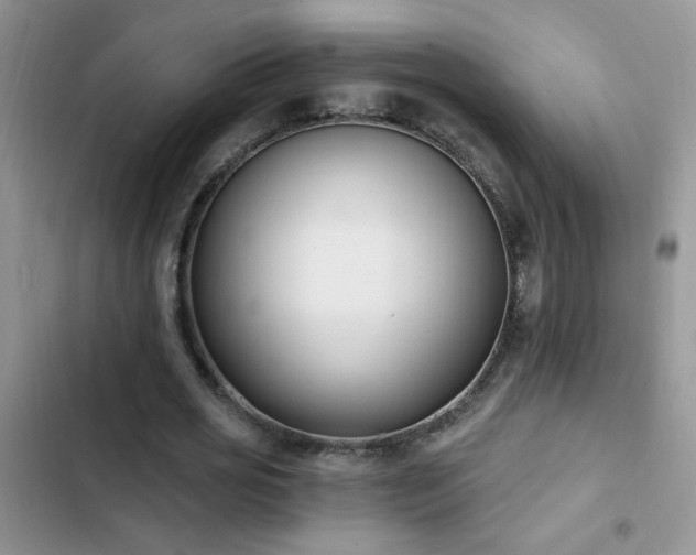 X0000103230725200808281430