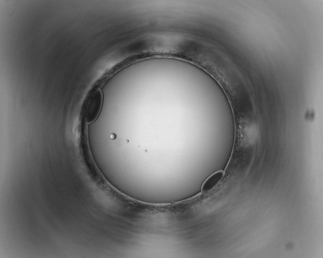 X0000103230726200808281430