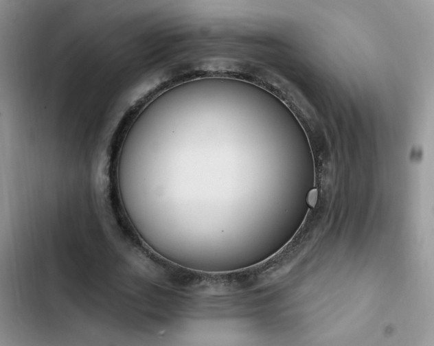 X0000103230727200808281430
