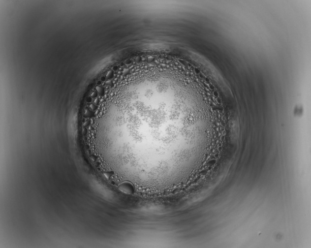 X0000103230729200808281430