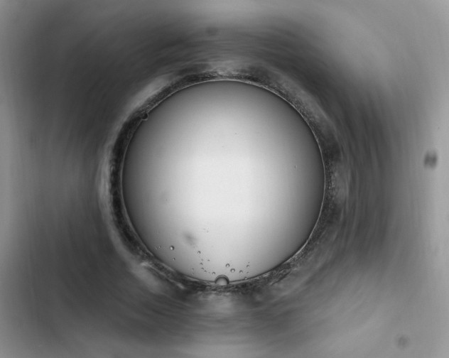 X0000103230730200808281430