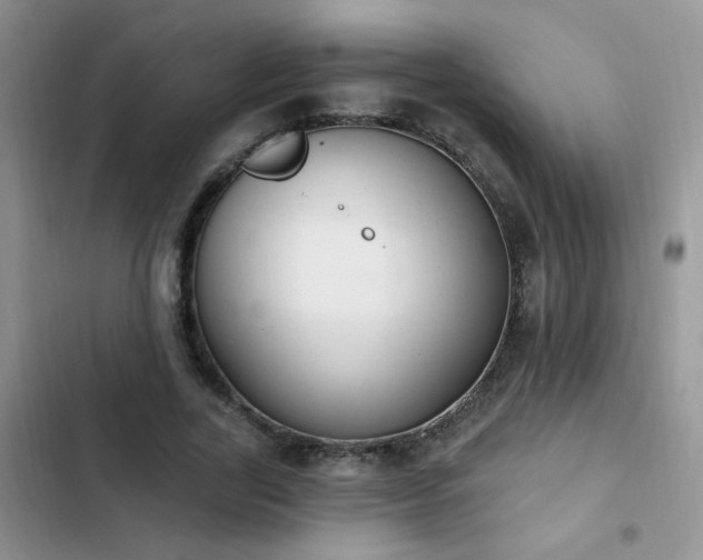 X0000103230731200808281430