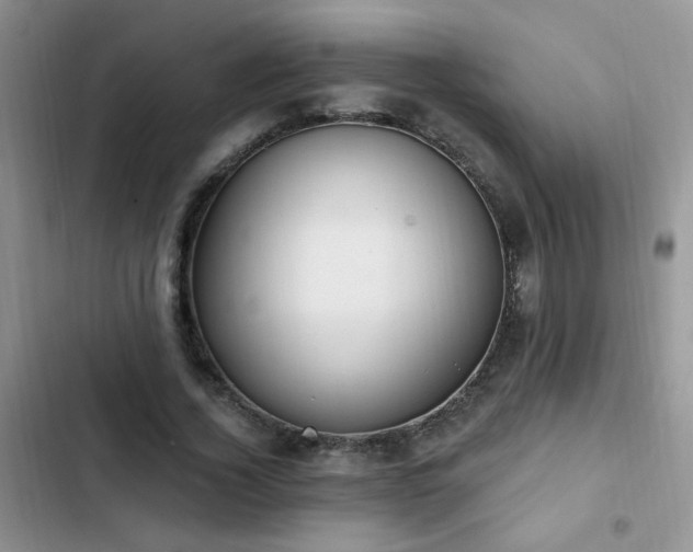 X0000103230732200808281430