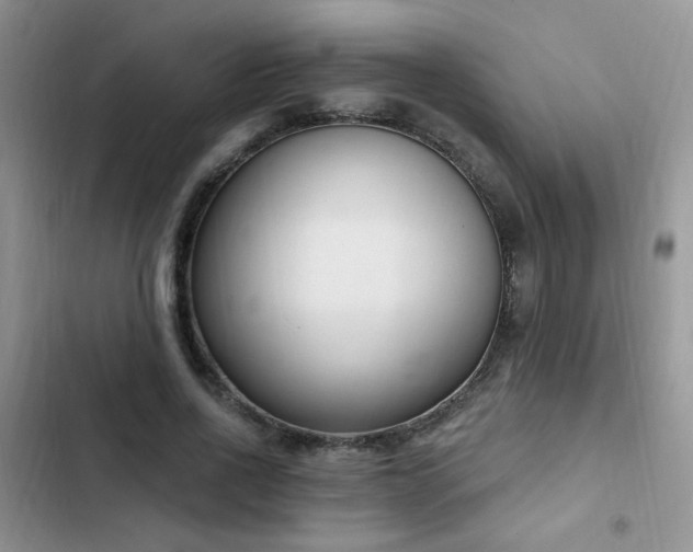 X0000103230734200808281430