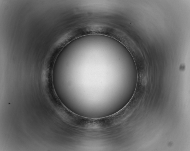 X0000103230735200808281430