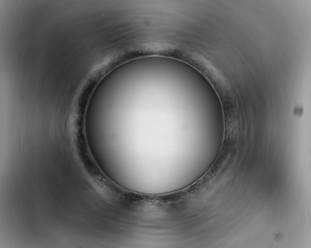 X0000103230736200808281430