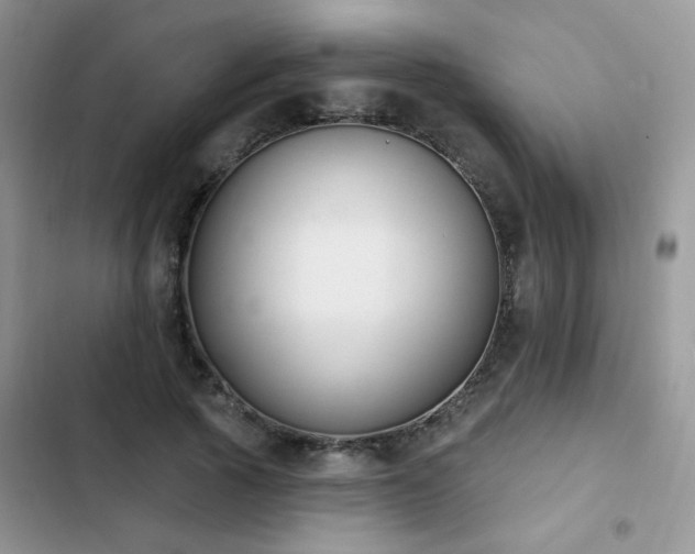 X0000103230737200808281430