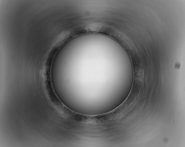 X0000103230738200808281430