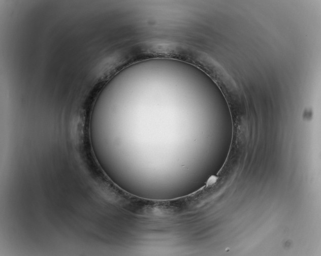 X0000103230739200808281430