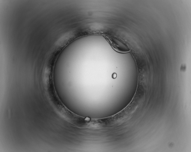X0000103230742200808281430