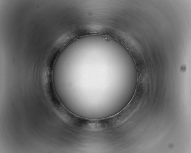 X0000103230744200808281430